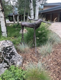 Moose 58 inch height installation